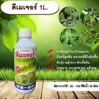 ดีเมเจอร์ 1L. 24ดี ไดเมทิลแอมโมเนียม ทูโฟดี สารกำจัดหญ้า แบบดูดซึม ใบกว้าง กก กำจัดหญ้ายาง ผักบุ้ง ผักโขม allaboutplants