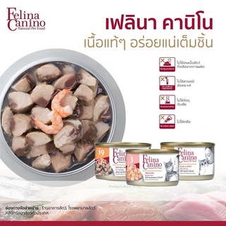 Felina Canino Cat เฟลิน่า อาหารแมว 70g.