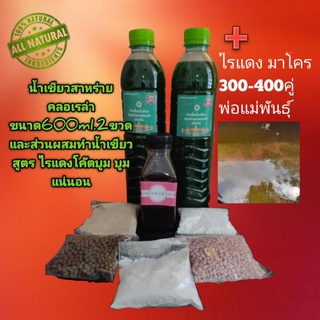 หัวเชื้อน้ำเขียวสาหร่ายคลอเรล่า2ขวดและส่วนผสมพร้อมไรแดง300-400คู่