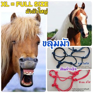 ขลุมม้า ขลุมจูง บังเหียน เชือกจูง ม้า XL ตัวใหญ่ หัวม้า