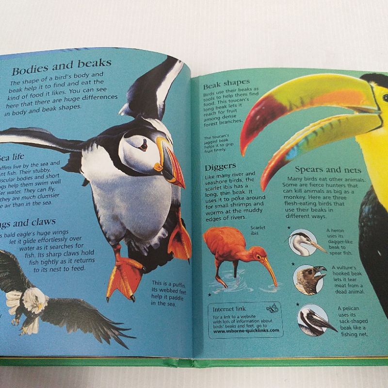 Little Encyclopedia of Animals By Usborne หนังสือภาษาอังกฤษ มือสอง Non ...