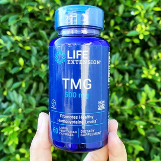 สารสกัดจากต้นบีท TMG 500 mg 60 Liquid Vegetarian Capsules (Life Extension®)