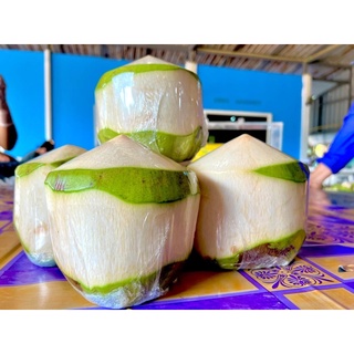 มะพร้าวน้ำหอมแท้ จากบ้านแพ้ว🥥🌴