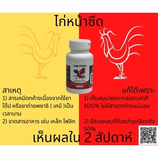 อาหารบำรุงไก่ชน ไก่หน้าซีด หงอย ท้องผูก เบื่ออาหาร [สูตรบำรุงเลือด] 500mg 100 แคปซูล