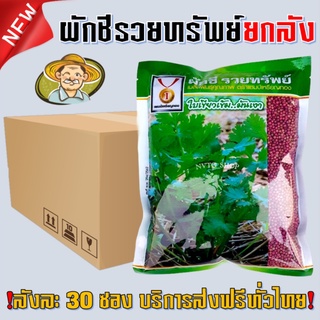 เมล็ดผักชีรวยทรัพย์ ยกลัง 30 ซอง ส่งฟรี ผักชีรวยทรัพย์ 300 กรัม ผักชีรวยทรัพย์ เมล็ดผักชี  เมล็ดพันธ์ุผักชี ผักชี