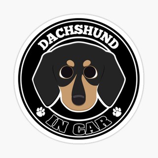 สติ๊กเกอร์ติดรถ แต่งรถ สติ๊กเกอร์ แม่เหล็กติดรถยนตร์ สติ๊กเกอร์หมา Dachshund in Car  - DGC44