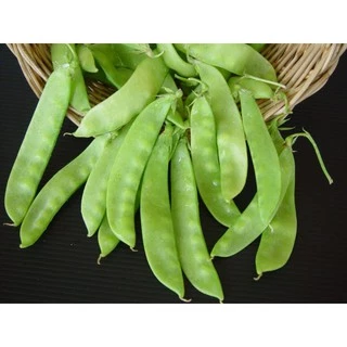 เมล็ดพันธุ์ ถั่วลันเตา 10 เมล็ด