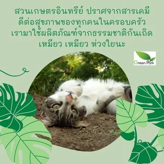 ปุ๋ยน้ำ ชีวภาพ มูลสุกร 100% ขนาด 5 ลิตร น้ำหมัก มูลหมู ขี้หมู สูตรเข้มข้น พืช โตเร็ว ปุ๋ย หมัก em คุณภาพ จุลินทรีย์ดี
