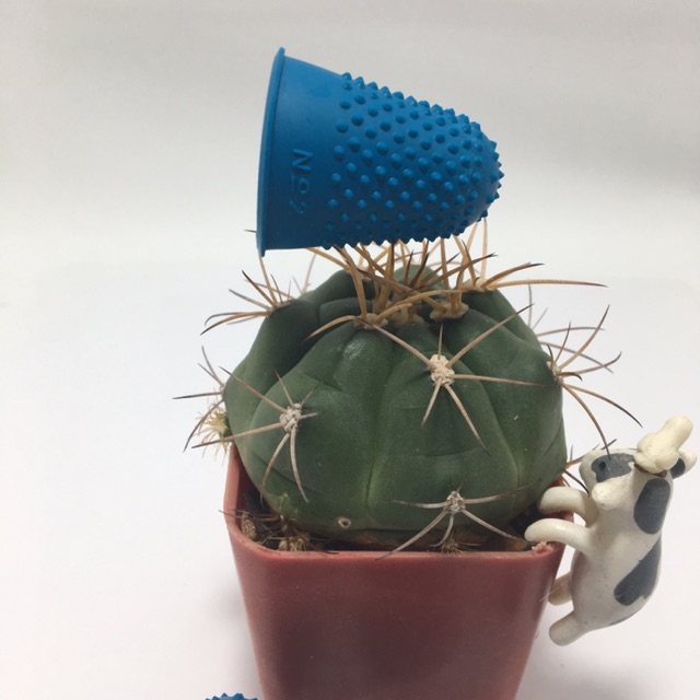 ปลอกนิ้วยาง #หนา ถุงนิ้วยาง ถุงนิ้วกันหนาม ปลอกนิ้วกันลื่น แคคตัส กระบองเพชร cactus&succulent