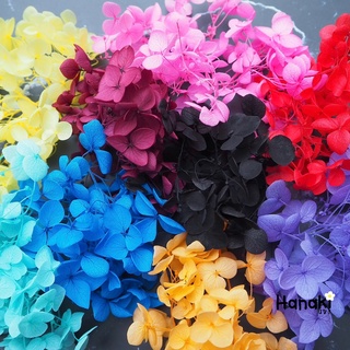 【พร้อมส่ง】🌻ดอกไฮเดรนเยียแห้ง ไฮเดรนเยียกลีบเล็ก🌻 Preserve hydrangeas ดอกไม้ทำเรซิ่น