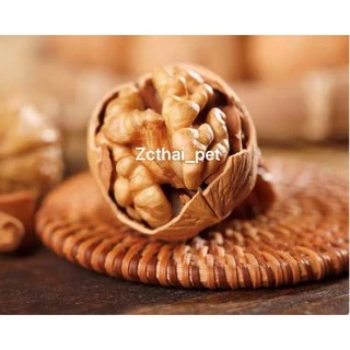 Walnut วอลนัท 6-7 ลูก อาหารเสริมสำหรับสัตว์เลี้ยงฟันแทะ ลับฟันสัตว์เลี้ยงฟันแทะ (สินค้าเข้าใหม่)