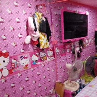 (ส่งด่วน มีโค้ดลด) Wall Kip วอลเปเปอร์ คิตตี้ ติดผนัง สติ๊กเกอร์ มีกาวในตัว ติดเองได้