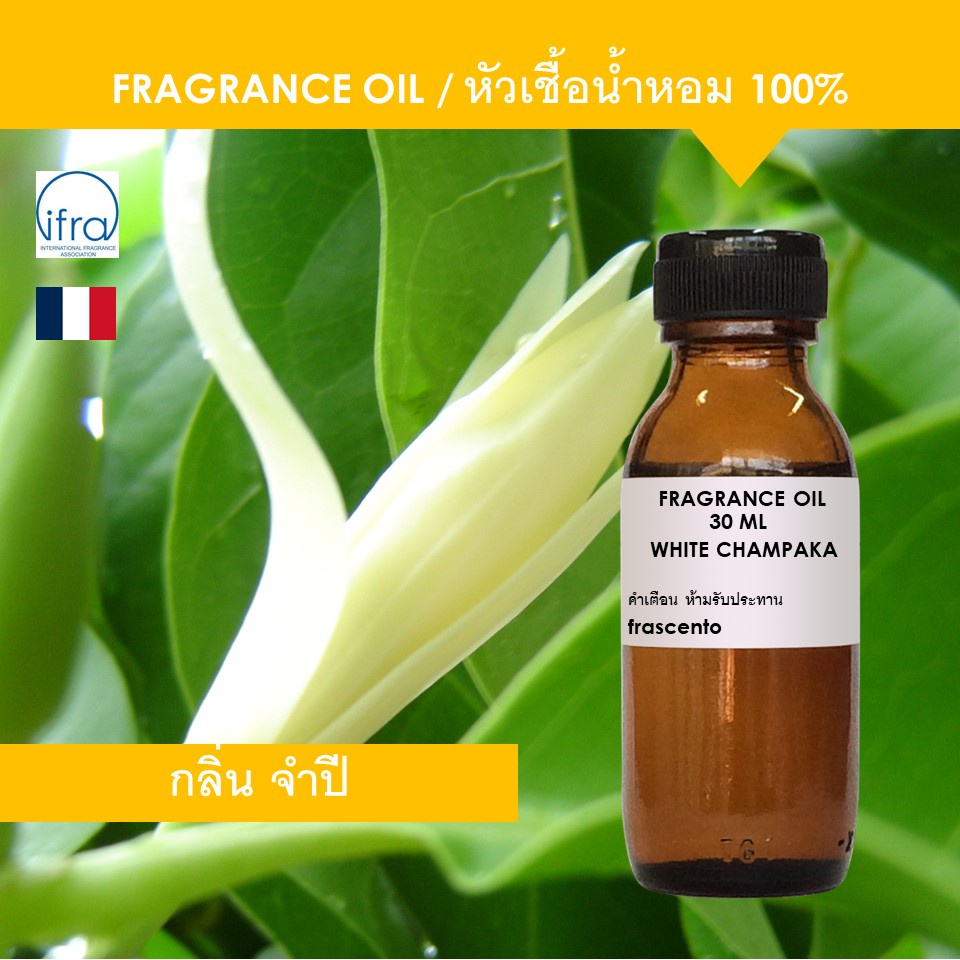 WHITE CHAMPAKA FRAGRANCE OIL - หัวเชื้อน้ำหอม กลิ่น ดอกจำปี เข้มข้นสูง ติดทนนาน