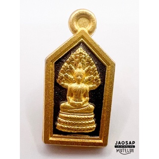 ปรกมะขาม วาระ 100 ปี เจ้าคุณพัฒน์ วัดห้วยด้วน จ.นครสวรรค์