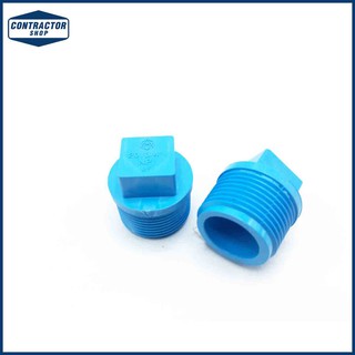 ปลั๊ก อุด PVC พีวีซี เกลียว นอก หนา-ฟ้า ตราช้าง ขนาด 3/4" #VALVE PLUG-WS B