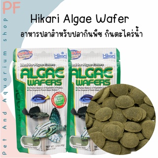 Hikari Algae Wafer อาหารปลา สำหรับปลากินพืช กินตะไคร่น้ำ