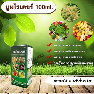 บูมไรเดอร์ 100ml. สารไซโตไคนิน กระตุ้นการแตกตาดอก กระตุ้นการแบ่งเซลล์กระตุ้นการเจริญของกิ่งและแขนง และผล