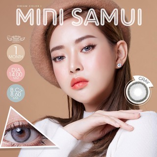 ค่าสายตา -5.50 ถึง -10.00 Dream Color1 Mini Samui(Gray,Brown)