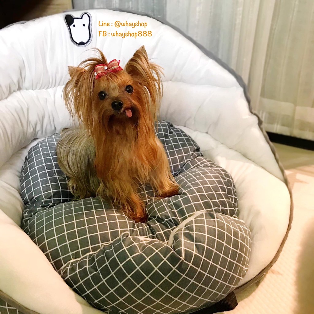 Pet Car seat Korea เกาหลี เบาะนั่งสัตว์เลี้ยง เบาะนั่งสุนัข/แมว เบาะ