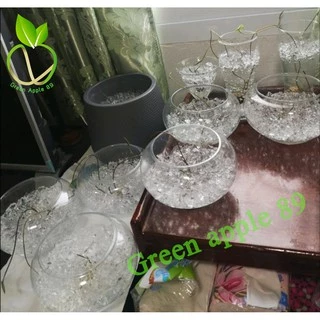 โพลิเมอร์ สารอุ้มน้ำ Green Apple Polymer 200 กรัม ดินอุ้มน้ำ ต้านภัยแล้ง รองหลุมต้นไม้ก่อนปลูก