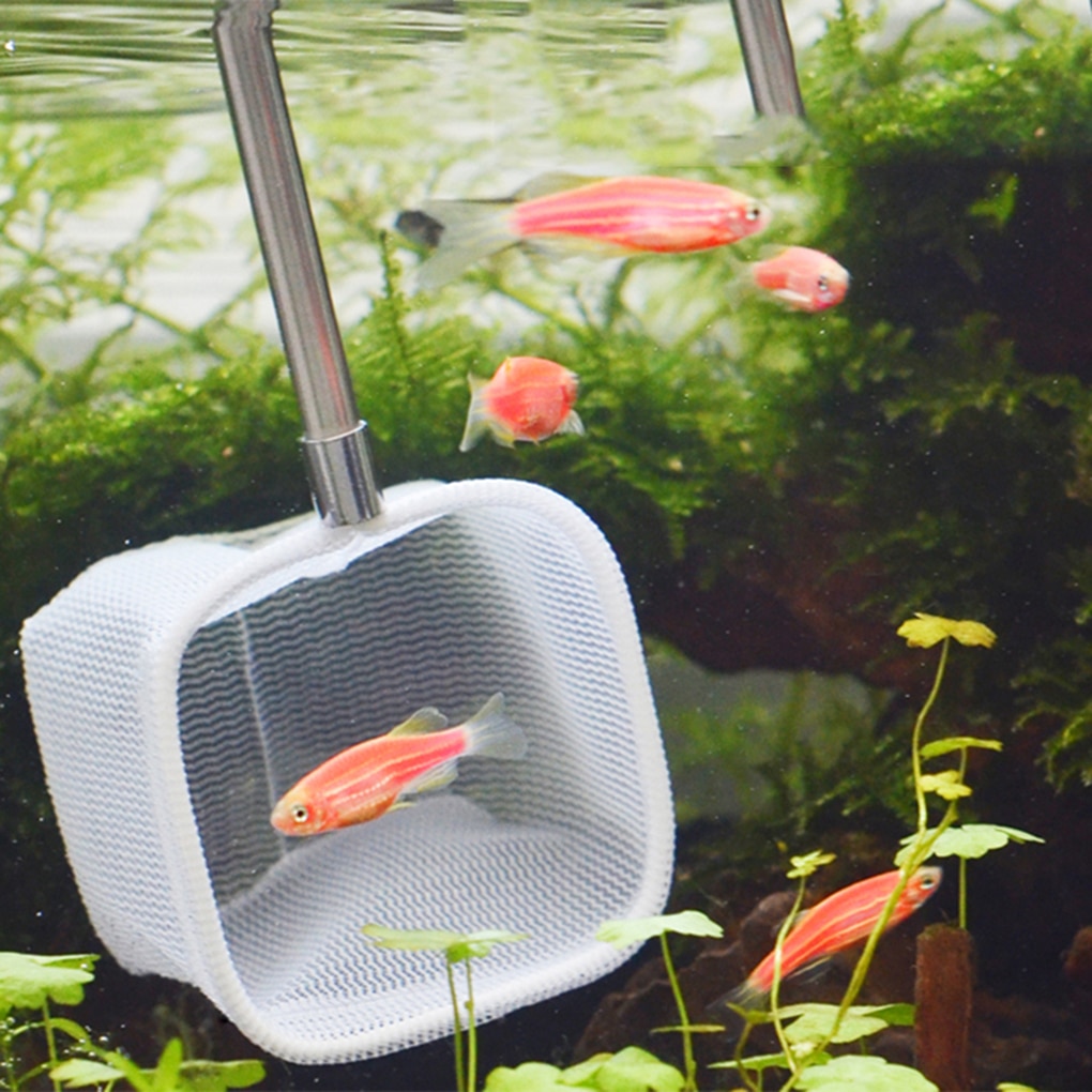 Retractable 3D Aquarium Stainless Steel Fishnet Pocket Shrimp Catching ...