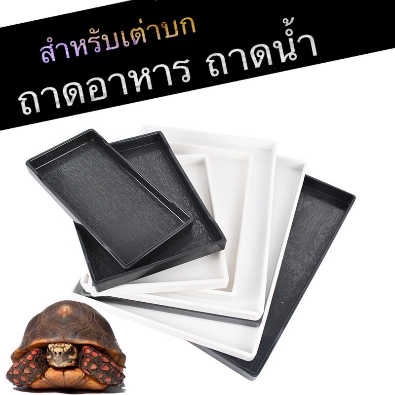 B&W ถาดอาหาร ถาดน้ำ สำหรับเต่าบก กิ้งก่าเล็ก ที่ใส่อาหารและน้ำสำหรับเต่าบก มีสีดำและขาว
