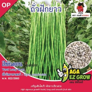 เมล็ดพันธุ์ ถั่วฝักยาว กระป๋อง 100กรัม