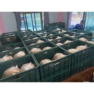 มะขามแช่อิ่มไร้เมล็ด 1000 กรัม ฟรีน้ำจิ้ม ควรศึกษาข้อมูลให้ดีก่อนสั่งซื้อ