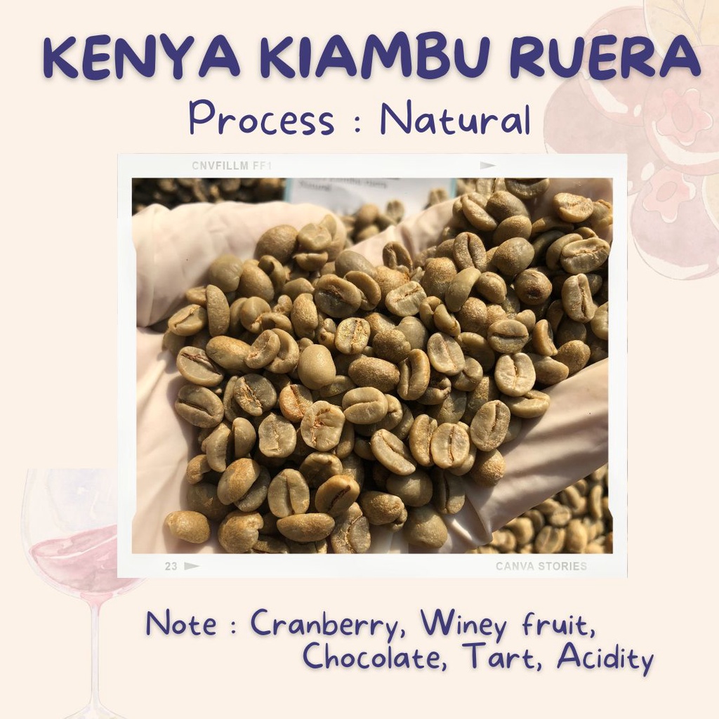 ☕️ ส่งไว แพ็คดี !! 🔥 สารกาแฟอราบิก้า เคนย่า KENYA