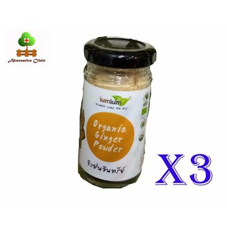 Lumlum Organic Ginger Powder 100% 30 grams