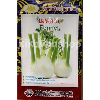 เมล็ดพันธุ์ เฟนเนล Fennel ผักชีล้อม ยี่หร่าฝรั่ง 100 เมล็ด