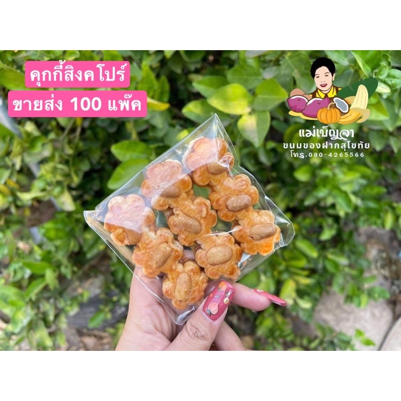 *ขายส่ง คุกกี้สิงคโปร์ 9 ดอก/แพ๊ค จำนวน 100 แพ๊ค/กล่อง