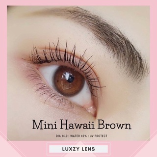 คอนแทคเลนส์miniHawaiiมินิฮาวายขนาดเท่าตา