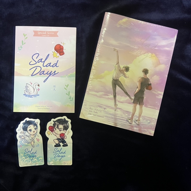 <พร้อมส่ง> นิยายวายแปล Salad Days (ชุดสะสม)