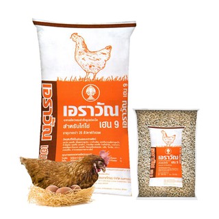 อาหารไก่ไข่ เอราวัณ เฮน9 แบบเม็ด 1 กิโลกรัม อาหารไก่ปรุงสุก ไก่กินง่ายขึ้นกว่าเดิม ไก่ออกไข่ดี เปลือกไข่แข็ง โปรตีน 18%