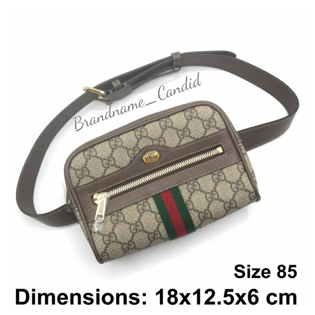 💥New💥Gucci Ophidia GG Supreme Small Belt Bag