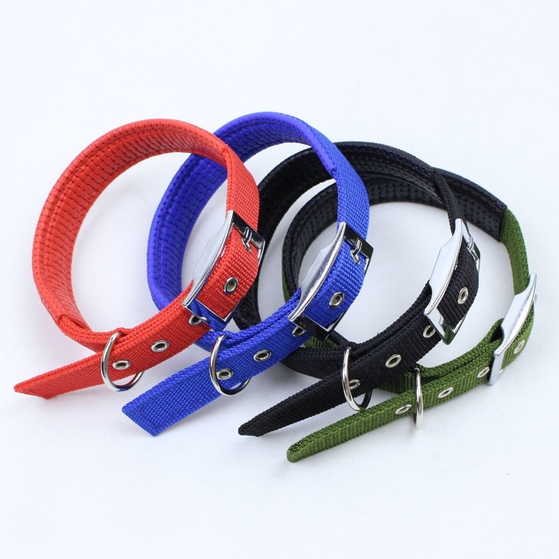 PADDED DOG AND CAT COLLAR, COLLAR WITH TAG K9