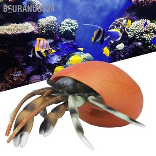 B_Uranus324🐚🦀 โมเดลปูเสมือนจริงจําลอง ของเล่นเสริมการเรียนรู้วิทยาศาสตร์ สําหรับเด็ก