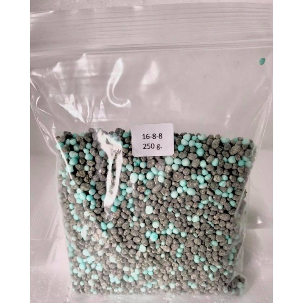 ป ยเคม ป ย ส ตร 15 15 15 16 16 16 16 8 8 8 24 24 46 0 0 46 0 0 เม ดเล ก ขนาดบรรจ 250 G 15