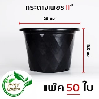 [ส่งด่วน]เกษตรเงินล้าน กระถางกลมดำ 10นิ้ว จัดชุด 50 ใบ อย่างดี พร้อมส่ง By.คิม เกษตรเงินล้าน