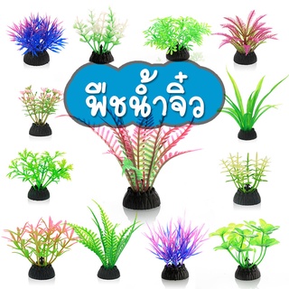 ของแต่งตู้ปลา - พืชน้ำจิ๋วขนาดเล็ก สีสดใส หลายแบบ