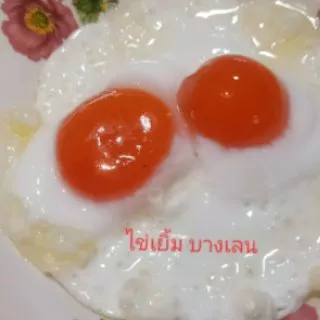 ไข่เค็มไชยา #1 ไข่เค็มดิบ 12 ฟอง "สูตรไข่เยิ้ม..บางเลน"