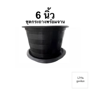 Little ชุดกระถางพร้อมจาน 6 นิ้ว
