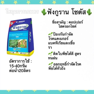 ฟังกูราน โอเอช  คอปเปอร์ ไฮดรอกไซด์ โซตัส ขนาด500กรัม ป้องกันกำจัดโรคพืชที่เกิดจากเชื้อราและแบคทีเรีย