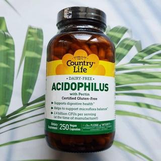 (Country Life®) Acidophilus with Pectin 250 Vegan Capsules แอซิโดฟิลัส เพื่อสุขภาพการย่อยอาหาร