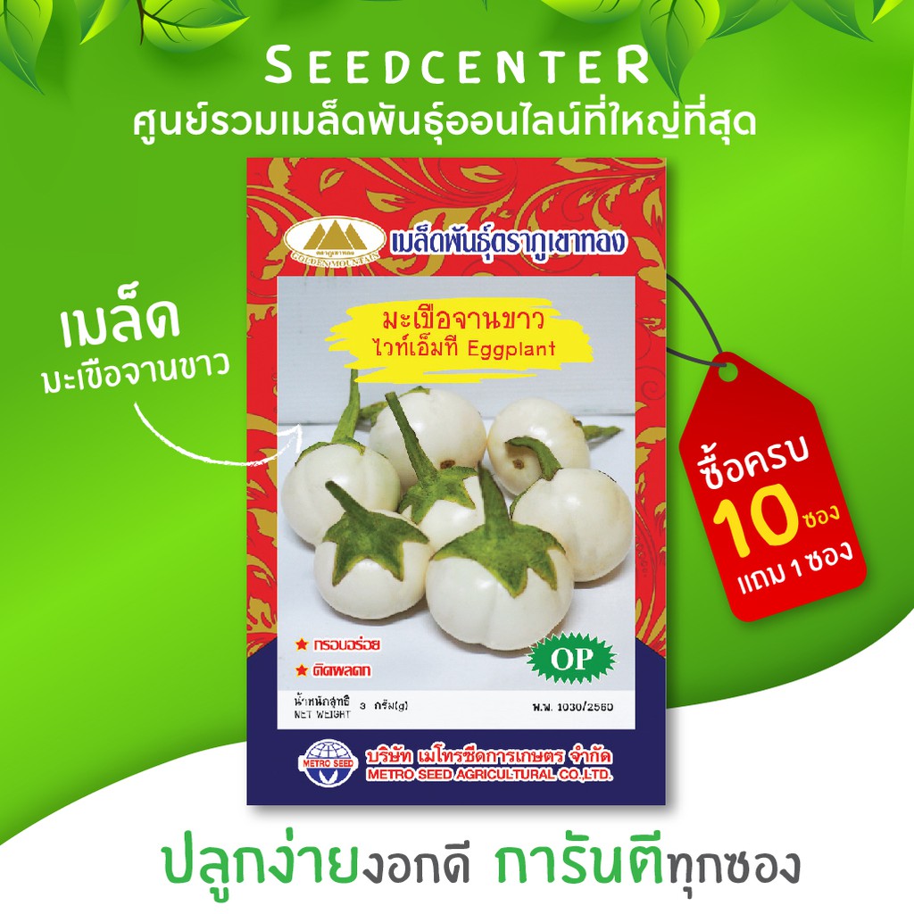 เมล็ดมะเขือจานขาว ขนาด 3 กรัม ภูเขาทอง