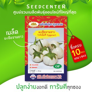 เมล็ดมะเขือจานขาว ขนาด 3 กรัม ภูเขาทอง
