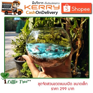 ชุดจัดสวนขวด DIY สวนแบบเปิด ขนาดเล็ก 299 บาท