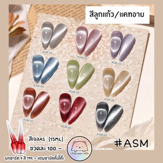 สีเจล สีลูกแก้ว สีแคทอาย สีAs รหัสASM แถมฟรี!ชาร์ต เมื่อซื้อยกเซต