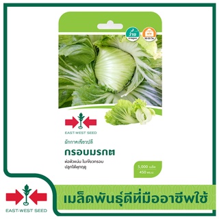 East-West Seed เมล็ดพันธุ์ผักกาดเขียวปลี  (Shallot seeds) กรอบมรกต เมล็ดพันธุ์ผัก （นี่มันเมล็ดพืช ไม่ใช่พืช!）